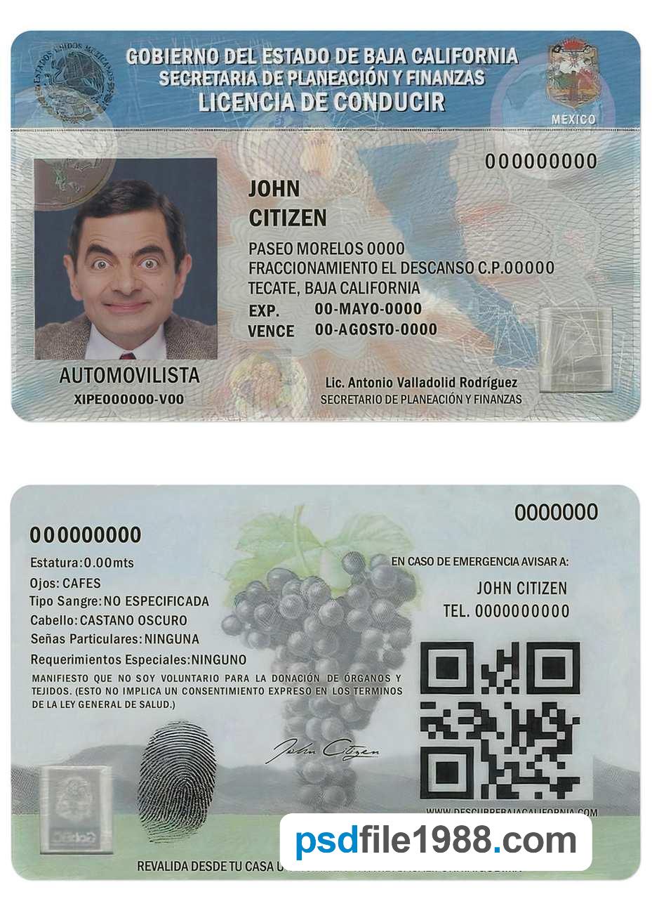 Mexico Baja California Driving License